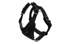 Borsttuigen / Harnassen