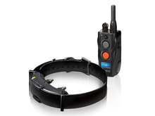 Dogtra E-collar