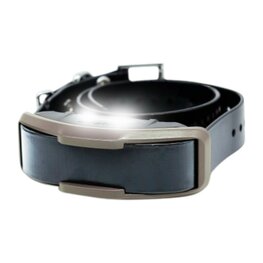 Ontvanger Dogtra 1200 X