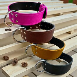 Leder halsband 5cm breed