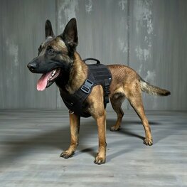 Tactical Harness zwart