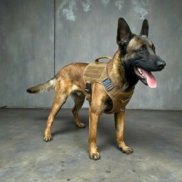 Tactical Harness coyote bruin