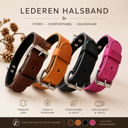 Leder halsband 3cm breed