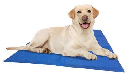 Cooling mat for dog