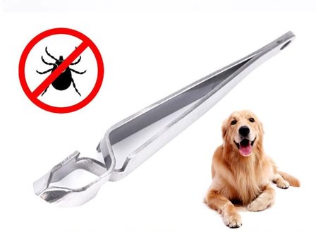 TIck tweezers