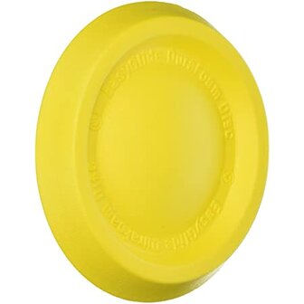 Durafoam frisbee