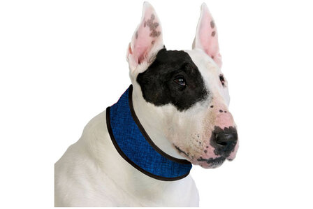 Dog collar Aqua coolkkeeper