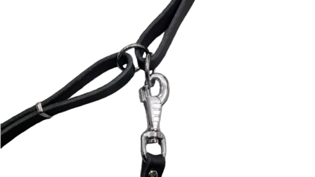 Bottcher tracking harness