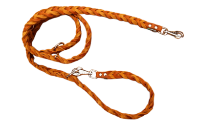 Braided leather dog leash