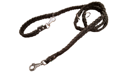Braided leather dog leash