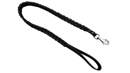 Braided dog leash