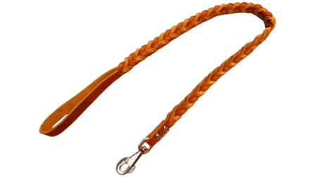 Braided dog leash