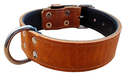 Leather collar 1.57 inch wide
