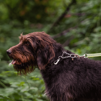 Stainless steel adjustable collar