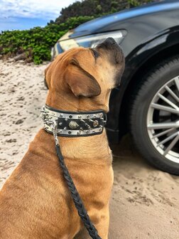 Extreme dog collar black/silver