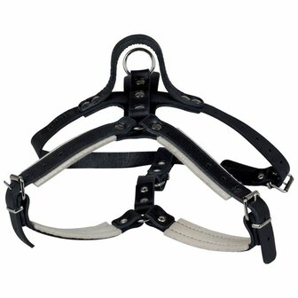 Leather harness with handle