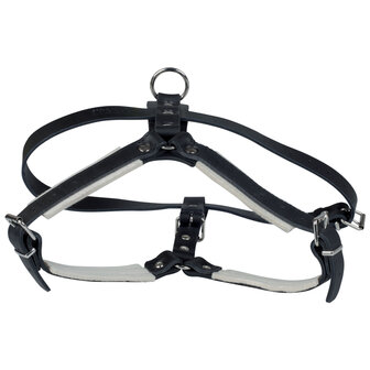 Leather harness