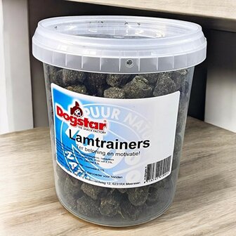 Lam trainer