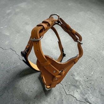 Borsttuig / Harnass