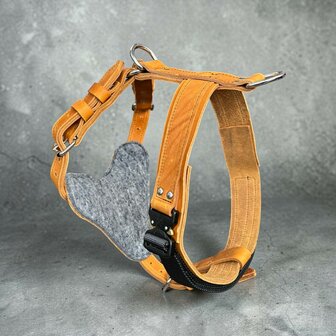 Borsttuig / Harnass