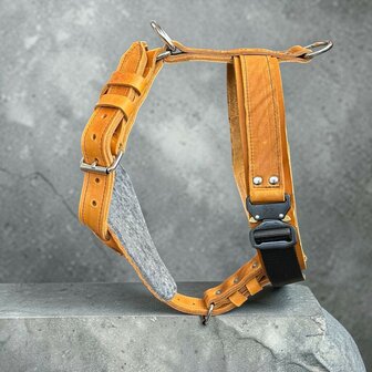 Borsttuig / Harnass