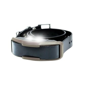 Ontvanger Dogtra ARC - X