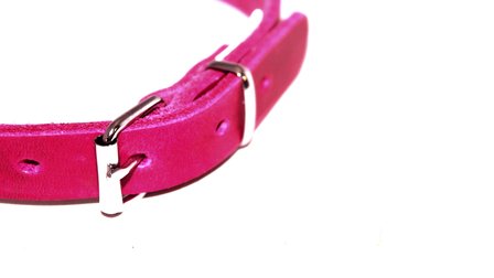 Roze puppy halsband