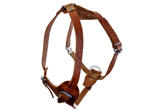 Leather harness