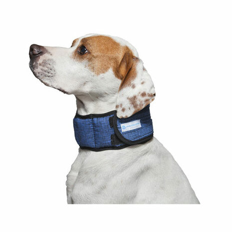 Dog collar Aqua coolkkeeper