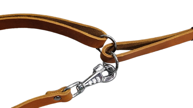 Bottcher tracking harness