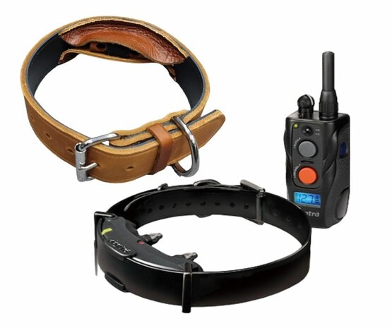 Dogtra ARC 800 with Cover collar