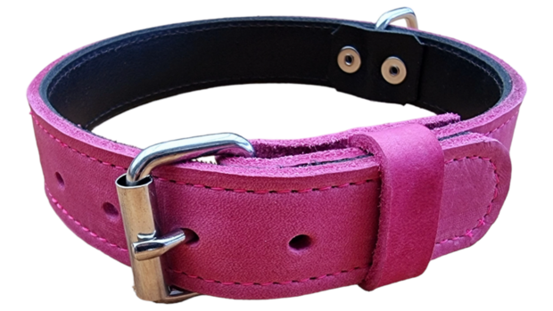 Leather collar 1.18 inch wide