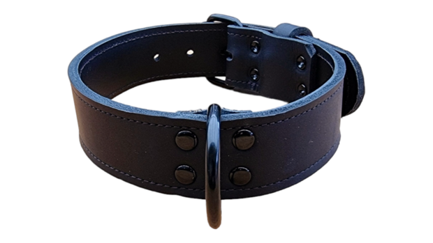 Leather collar Black edition