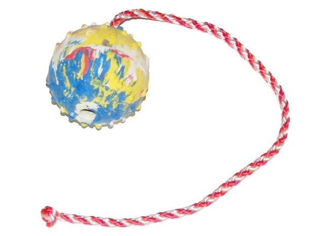 Rubber ball with rope