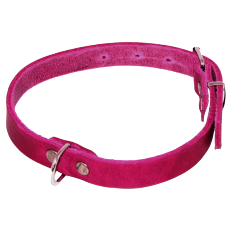 Pink puppy collar