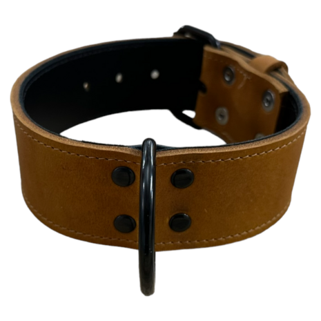 Leather collar Black edition