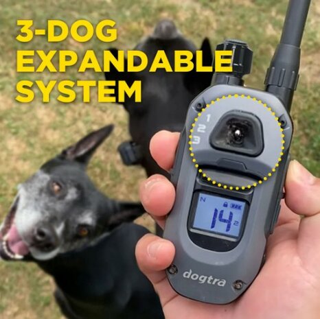 Dogtra 640-X