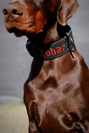 Halsband met geborduurde naam