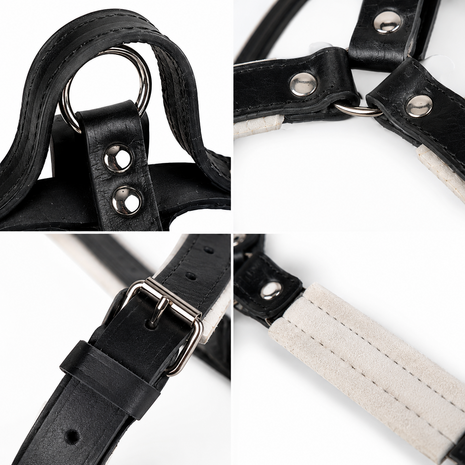 Leather Y - harness with handle