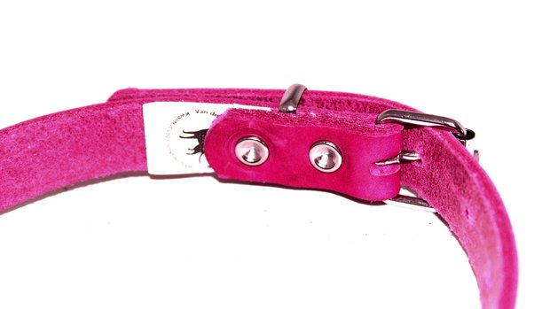 Pink puppy collar