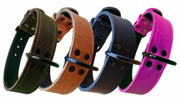 Leder halsband 4cm Black edition