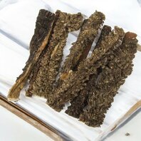 Gedroogde Pens staaf