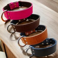 Leder halsband 4cm breed